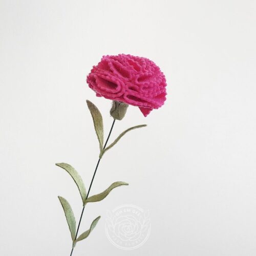 Carnation fuchsia