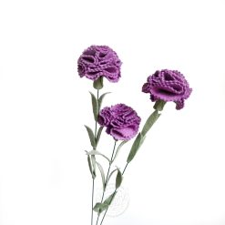 Carnation hrydrangea