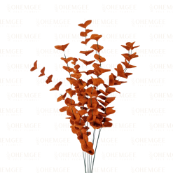 Eucalyptus 'Dried' - Dozen (12 Stems)