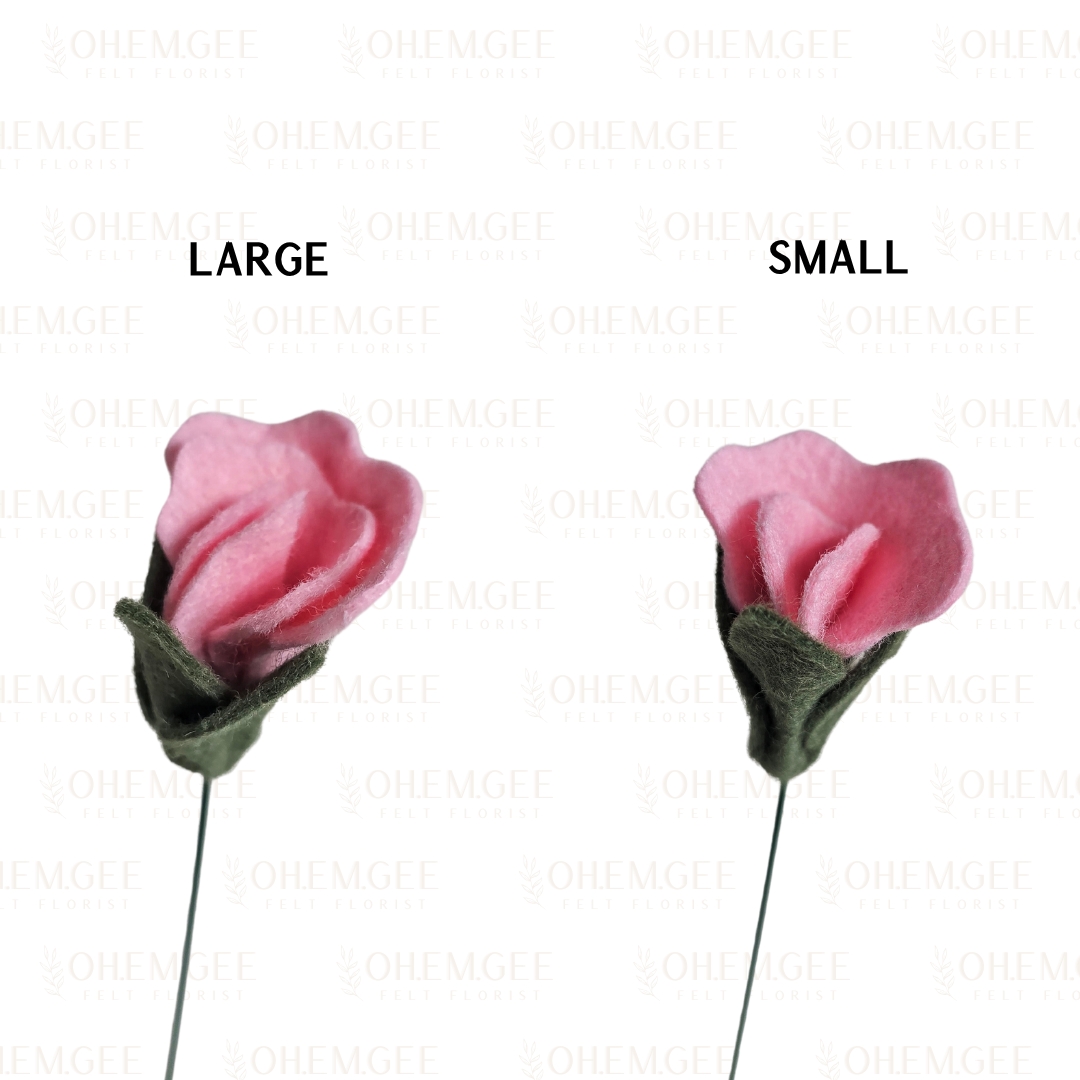 Sweet Pea - Cotton Candy