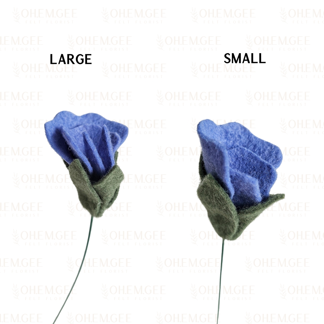 Sweet Pea - Periwinkle