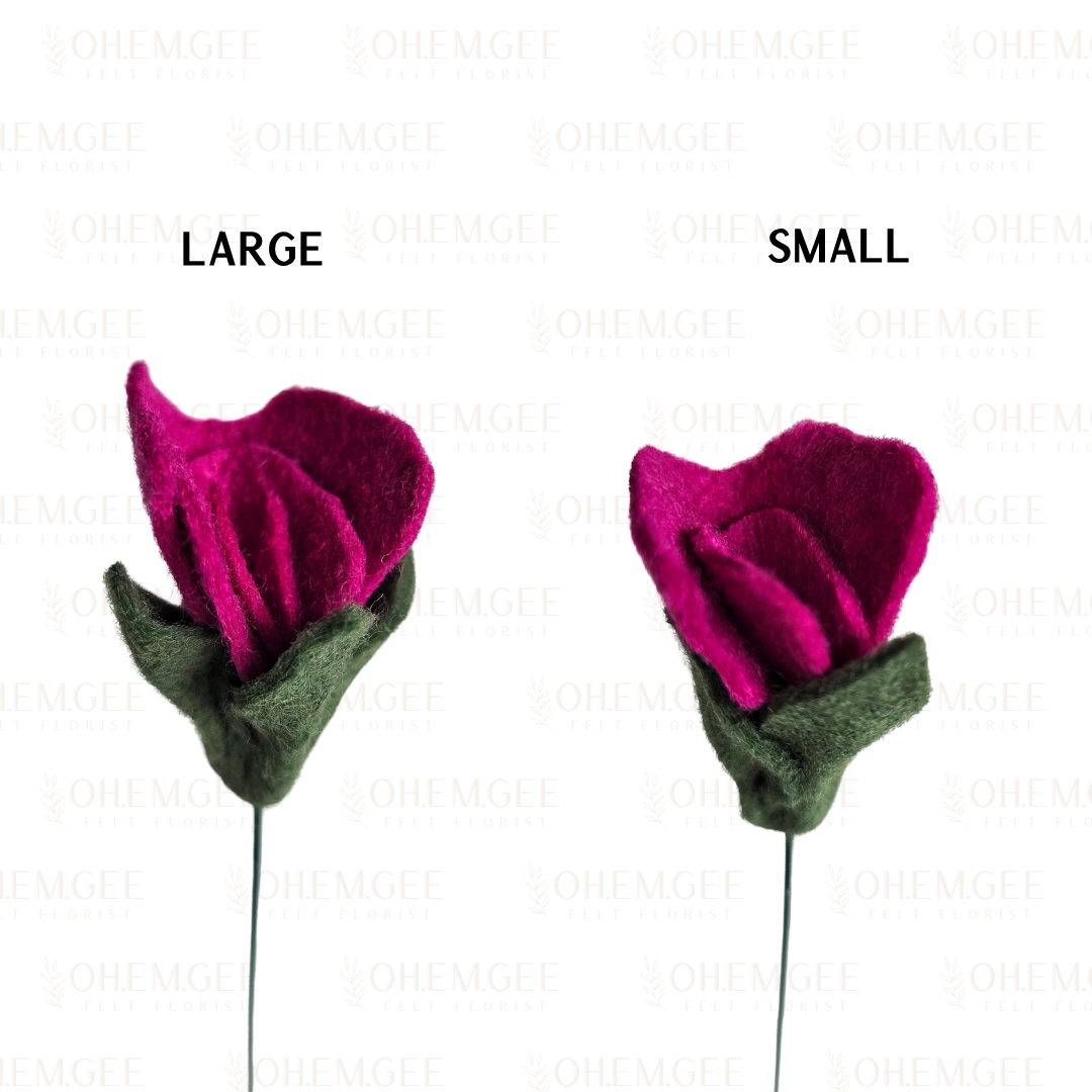 Sweet Pea - Rose Petal