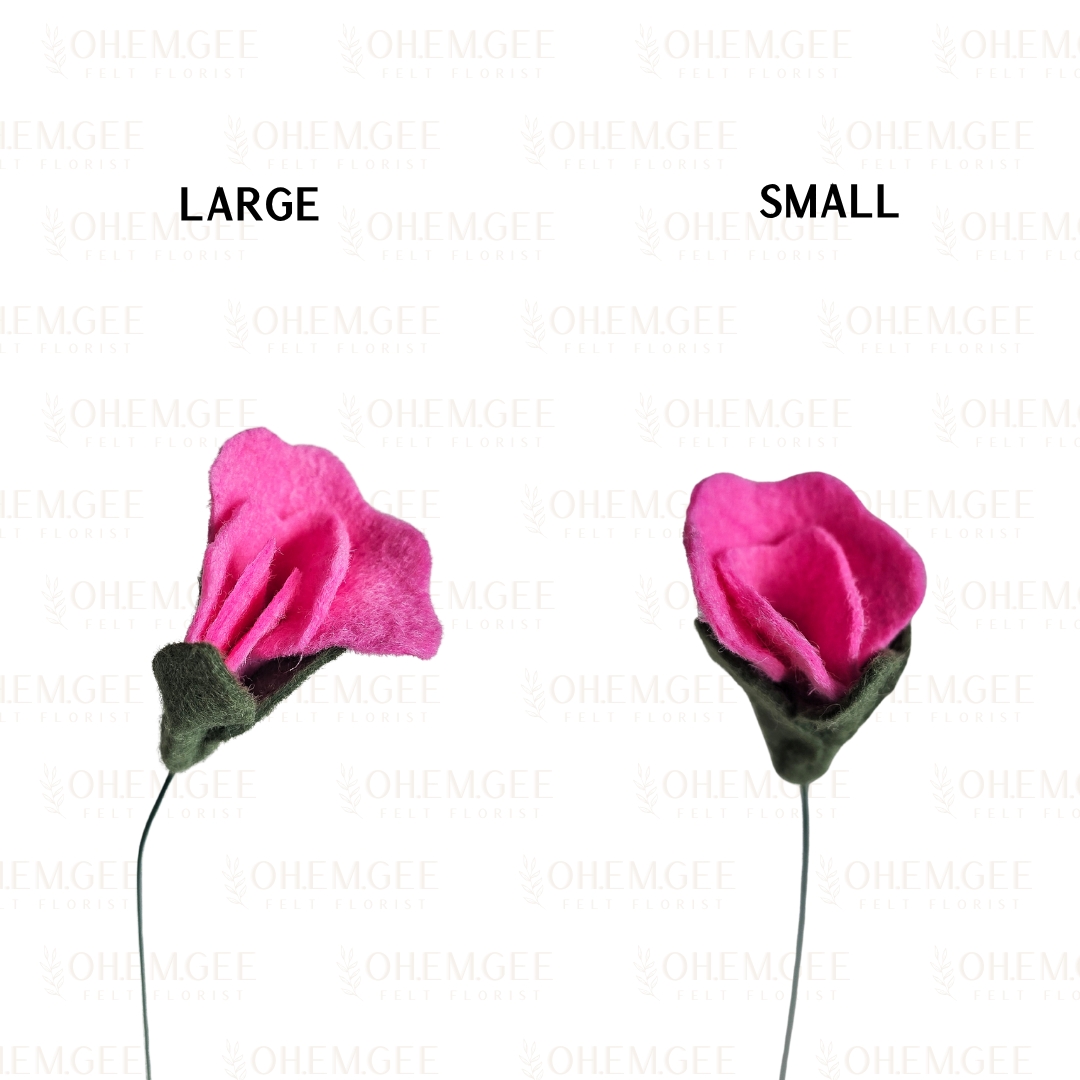 Sweet Pea - Shocking Pink