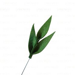 Foliage B - 3 leaf