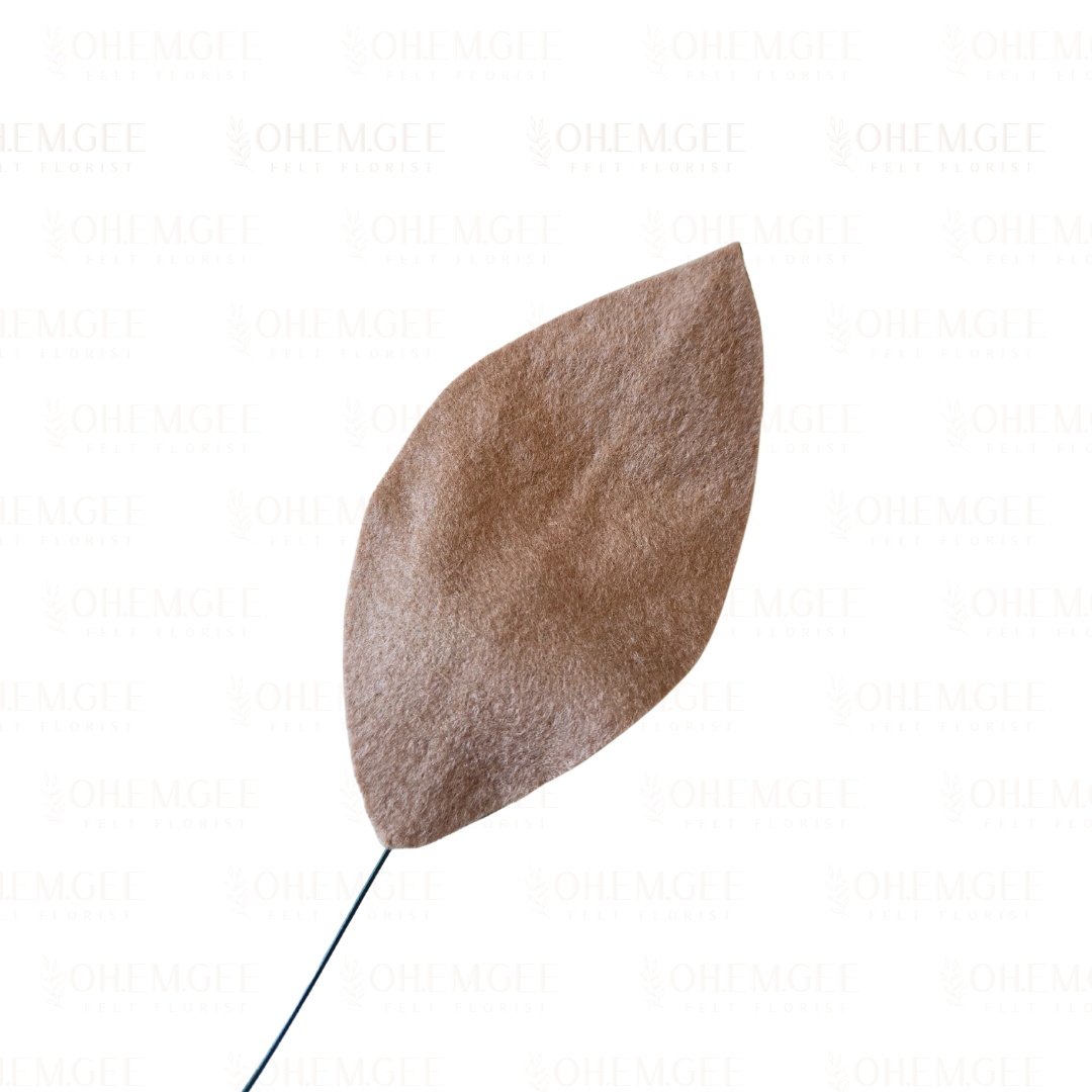 OH EM GEE - square background_20250519_143823_0009