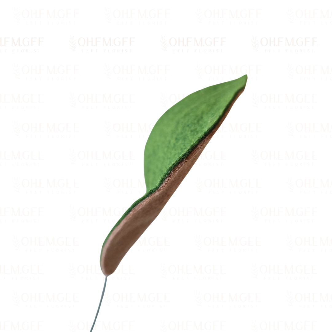 OH EM GEE - square background_20250519_143823_0008