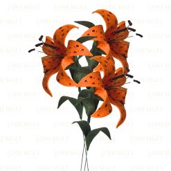 Tiger Lily -  3 stems
