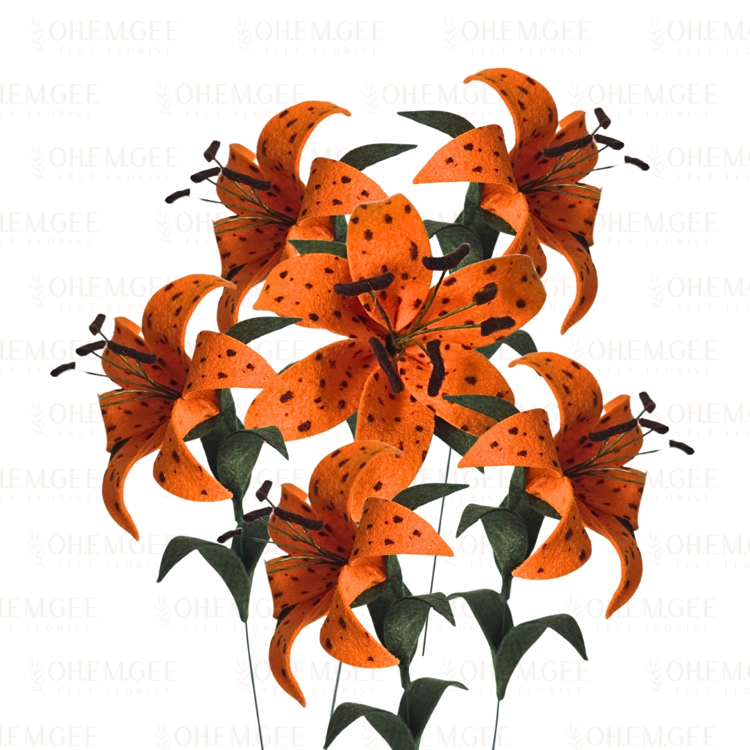 Tiger Lily