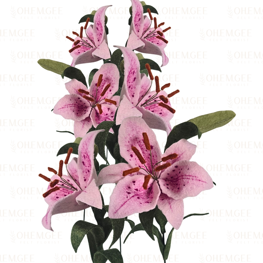 Tiger Lily